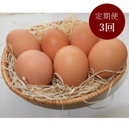 ＜山田養鶏＞「赤玉元気卵」30個【3ヵ月定期便】