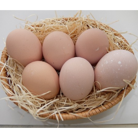 ＜山田養鶏＞「名古屋コーチン卵」30個