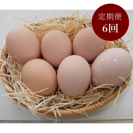 ＜山田養鶏＞「名古屋コーチン卵」30個【6ヵ月定期便】