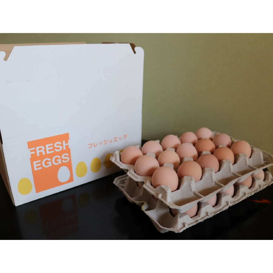 <山田養鶏>「名古屋コーチン卵」30個【12ヵ月定期便】