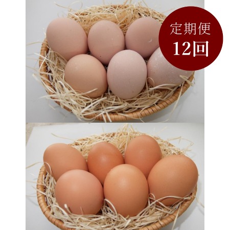 ＜山田養鶏＞「名古屋コーチン卵」＆「赤玉元気卵」各15個（計30個）【12ヵ月定期便】