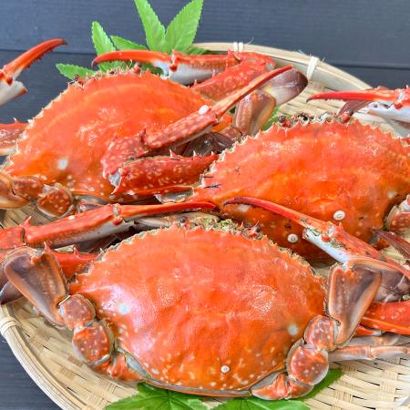 渡り蟹 日間賀島産【今が旬‼︎身入りMAX】 ワタリガニ雄個体，渡り蟹