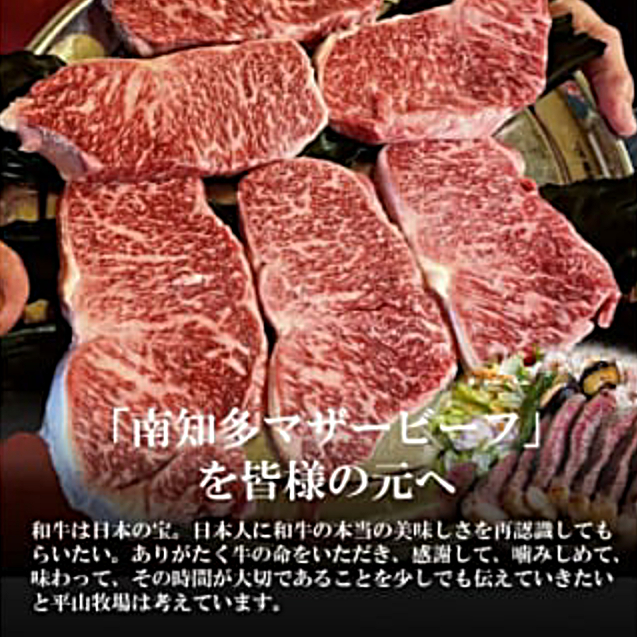 ＜南知多マザービーフ＞ サーロインステーキ680g(170g×4枚)