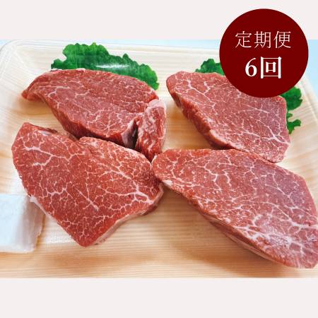 <石川屋>「南知多マザービーフ」 ステーキ用(ヒレ)600g(150g×4枚)【6ヵ月定期便】