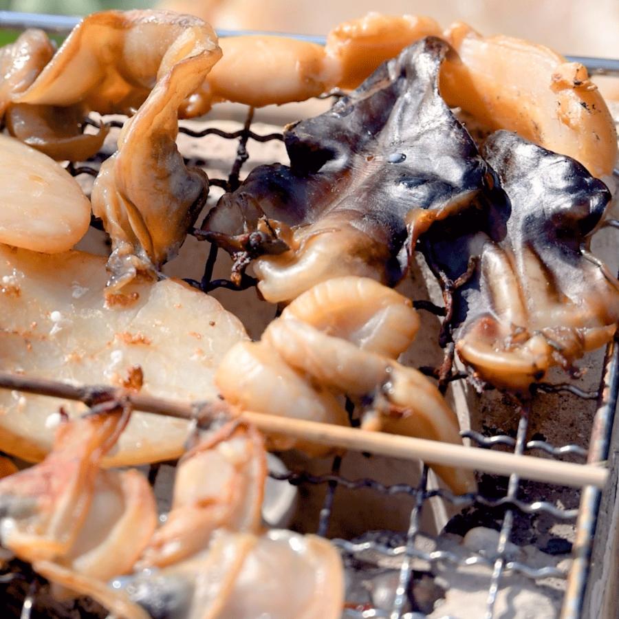 ＜岬水産＞天然貝の干物５種セット（串とり貝・平貝・平貝ヒモ・とり貝・みる貝）