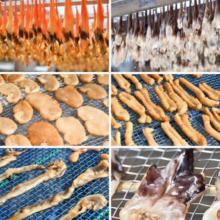 ＜岬水産＞天然「貝の干物」6種セット（串青柳・串とり貝・平貝・平貝ヒモ・とり貝・みる貝）