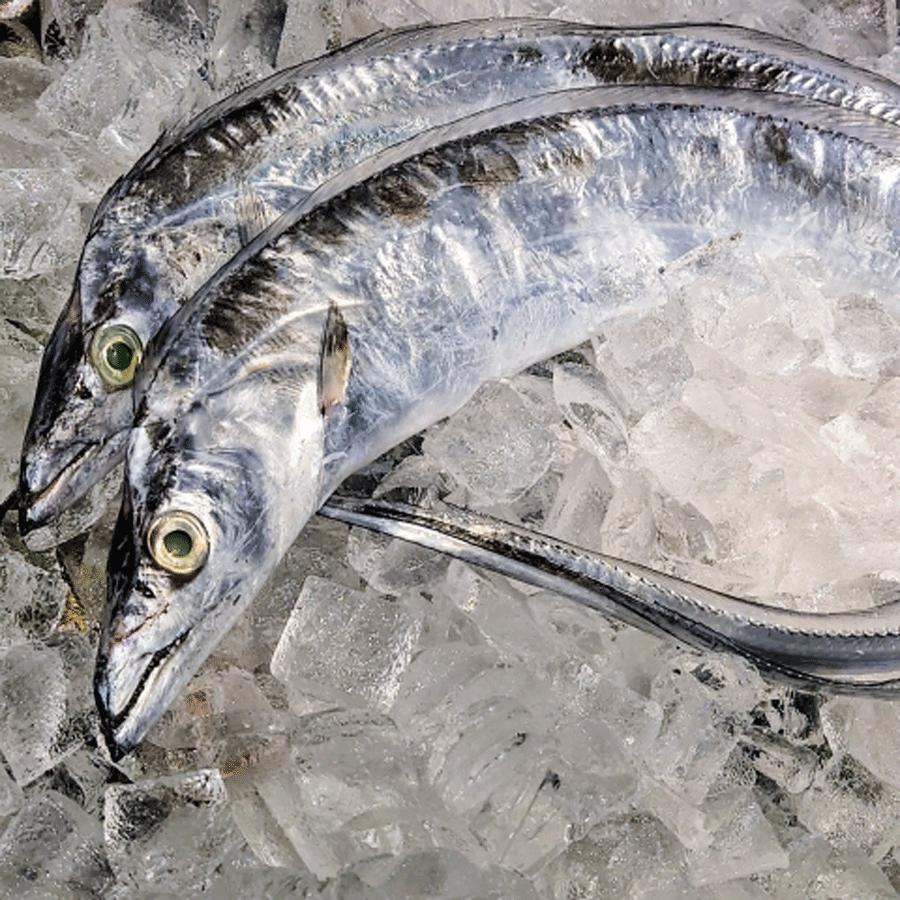 ＜岬水産＞愛知県知多半島産天然「太刀魚」 開き＆天日干し２種セット（骨なし）各２袋