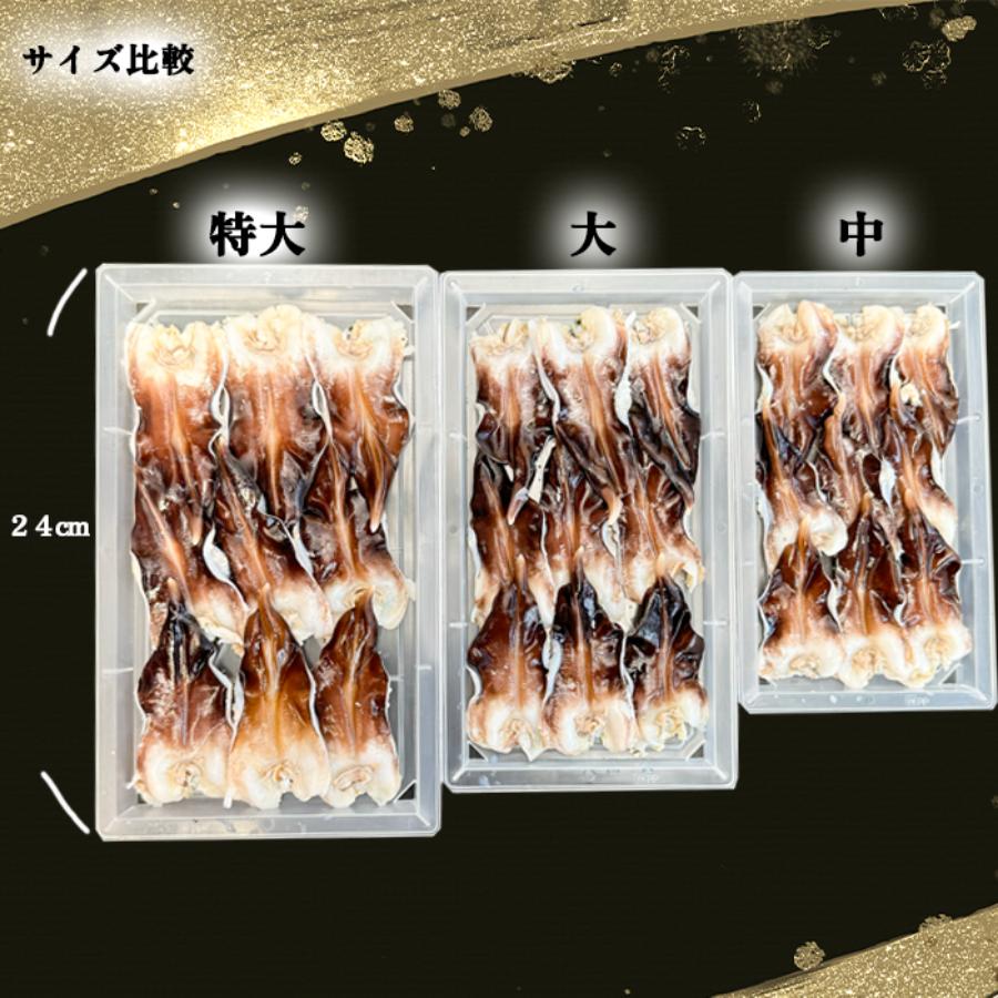 <岬水産>天然「とり貝」お刺身用(特大サイズ)9枚入×2(計18枚)