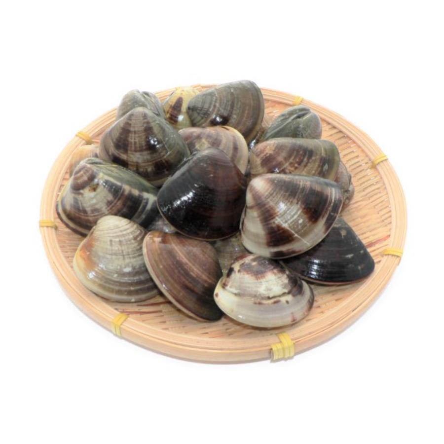 ＜マルタカ水産＞天然「はまぐり」（５年もの）1kg