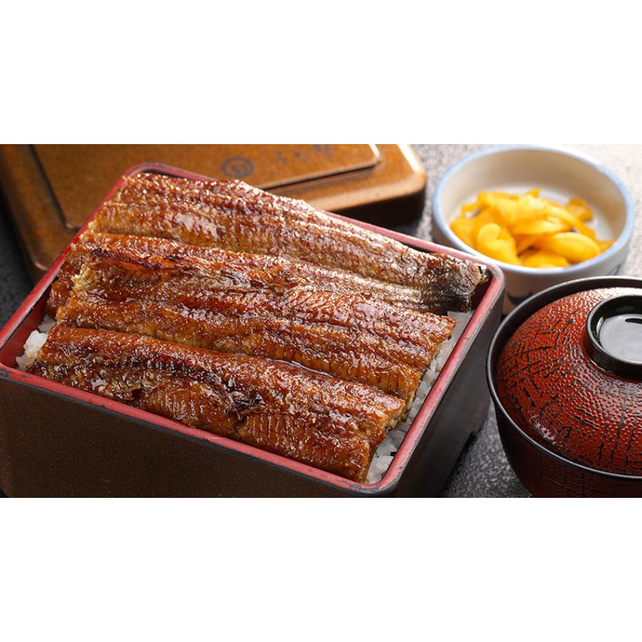 ＜うな勢＞「鰻かば焼き・白焼き」各１尾（計２尾）【１２ヵ月定期便】
