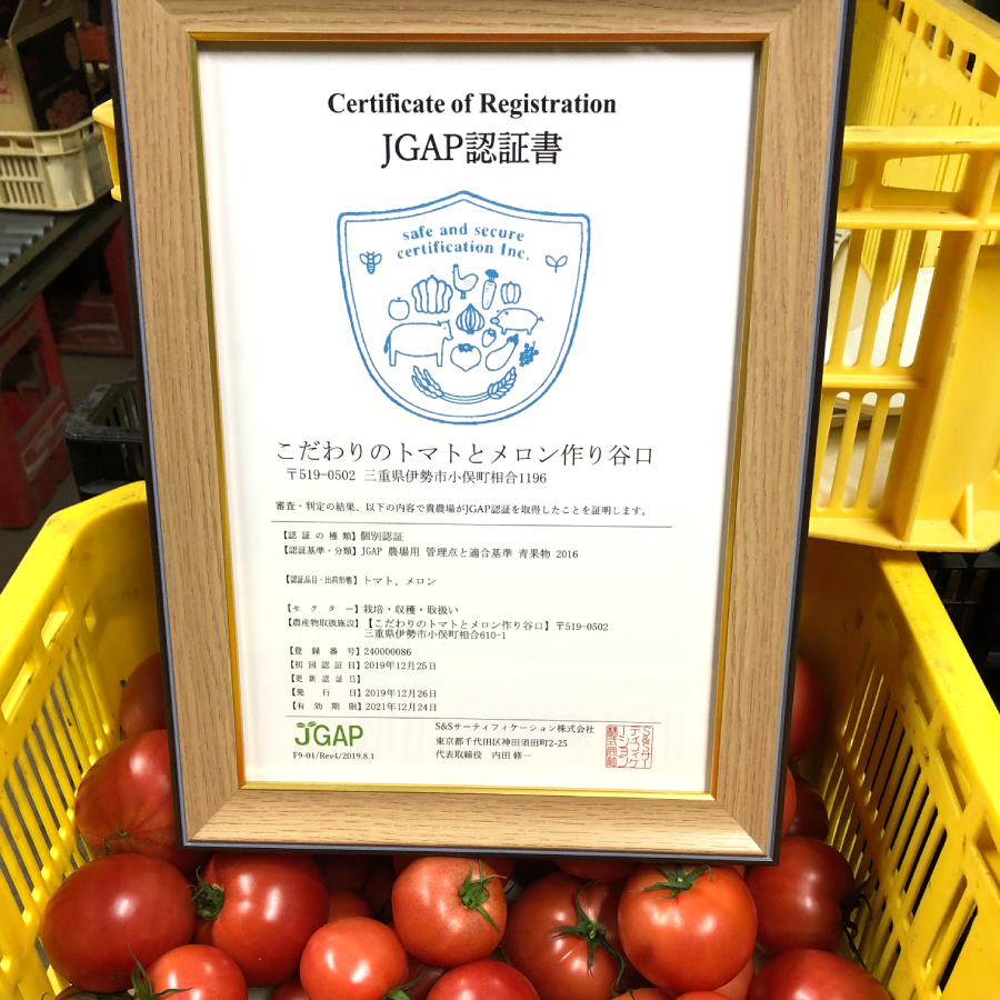＜こだわりのトマトとメロン作り谷口＞「じゅうしいとまと(R)」A品 出荷箱入り 3.5kg　IM073