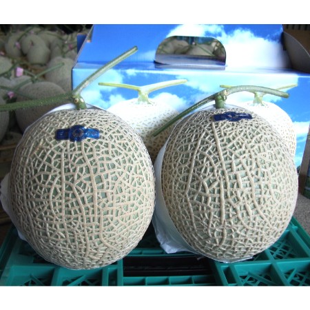 ＜こだわりのトマトとメロン作り谷口＞「とろとろめろん(R)」特撰（3Lクラス以上）2個 化粧箱入り　IM078