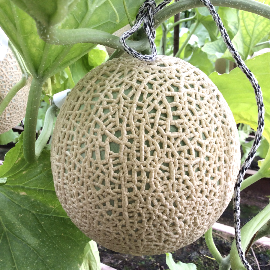 ＜こだわりのトマトとメロン作り谷口＞「とろとろめろん(R)」特撰（3Lクラス以上）3個 化粧箱入り　IM079