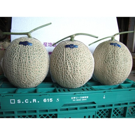 ＜こだわりのトマトとメロン作り谷口＞「とろとろめろん(R)」特撰（3Lクラス以上）3個 化粧箱入り　IM079