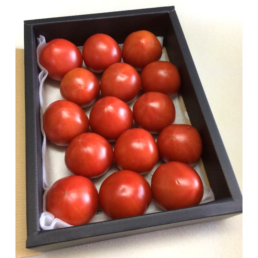 ＜こだわりのトマトとメロン作り谷口＞「ぱりぱりとまと(R)」15個入 贈答用黒箱　IM080