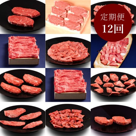 ＜千力＞「松阪牛」『ヒレ&シャトーブリアン&希少赤身』【定期便12ヵ月】