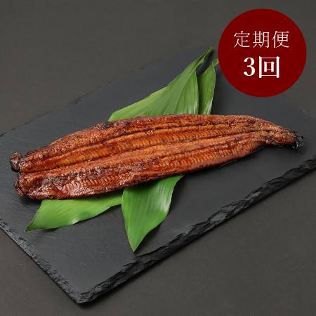 ＜川魚問屋丸三商店＞国産「鰻蒲焼」2尾【3ヵ月定期便】