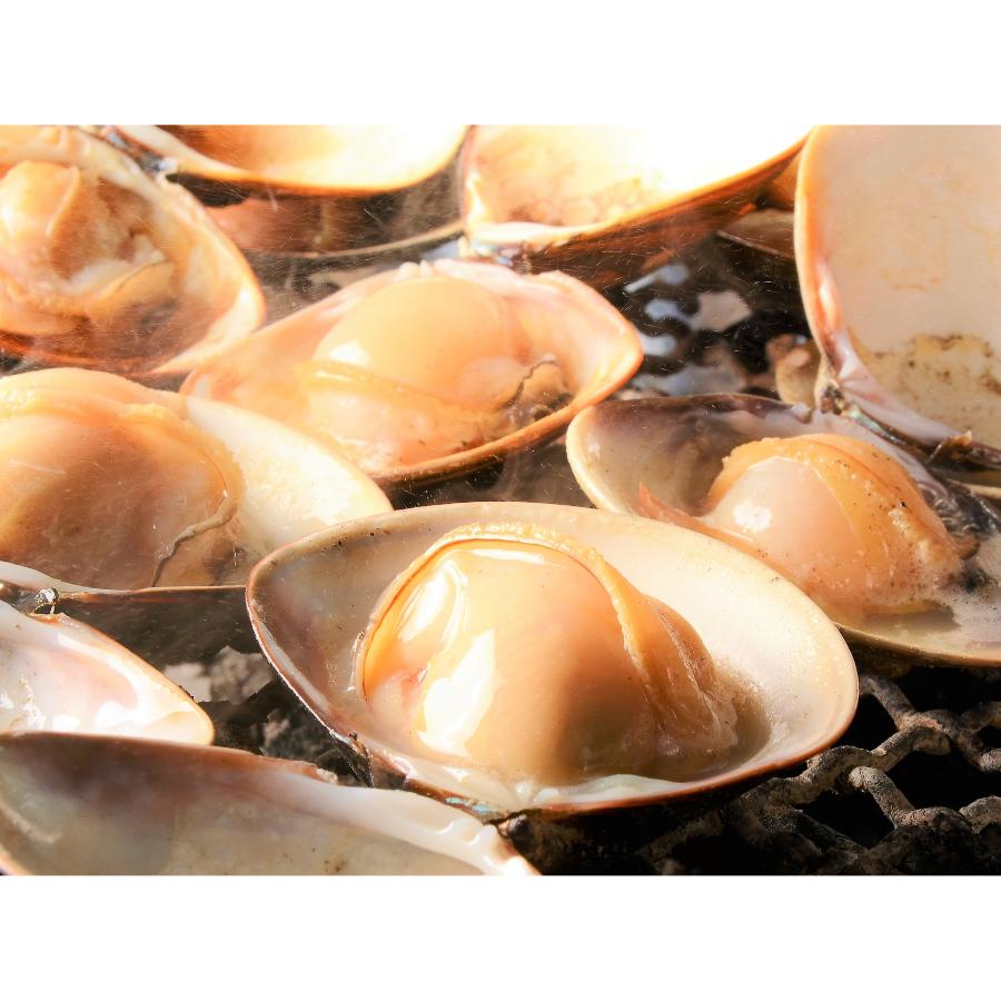 ＜桑名はまぐり屋＞桑名産「はまぐり」10年もの500gx2（計1kg）