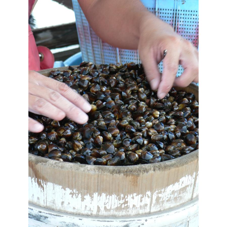 ＜桑名はまぐり屋＞三重県産「しじみの味噌汁」（インスタント）20食