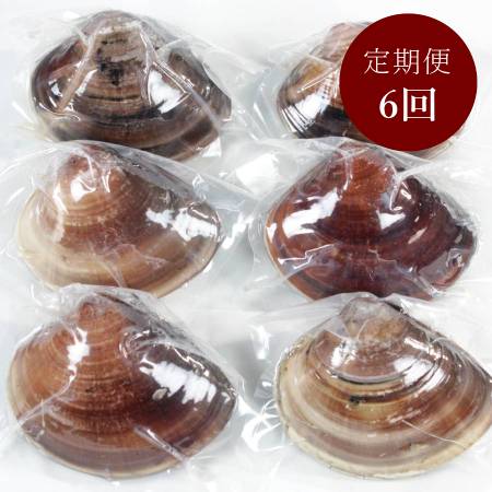 ＜桑名はまぐり屋＞桑名産「はまぐり」10年もの（レトルト）6粒【6ヵ月定期便】