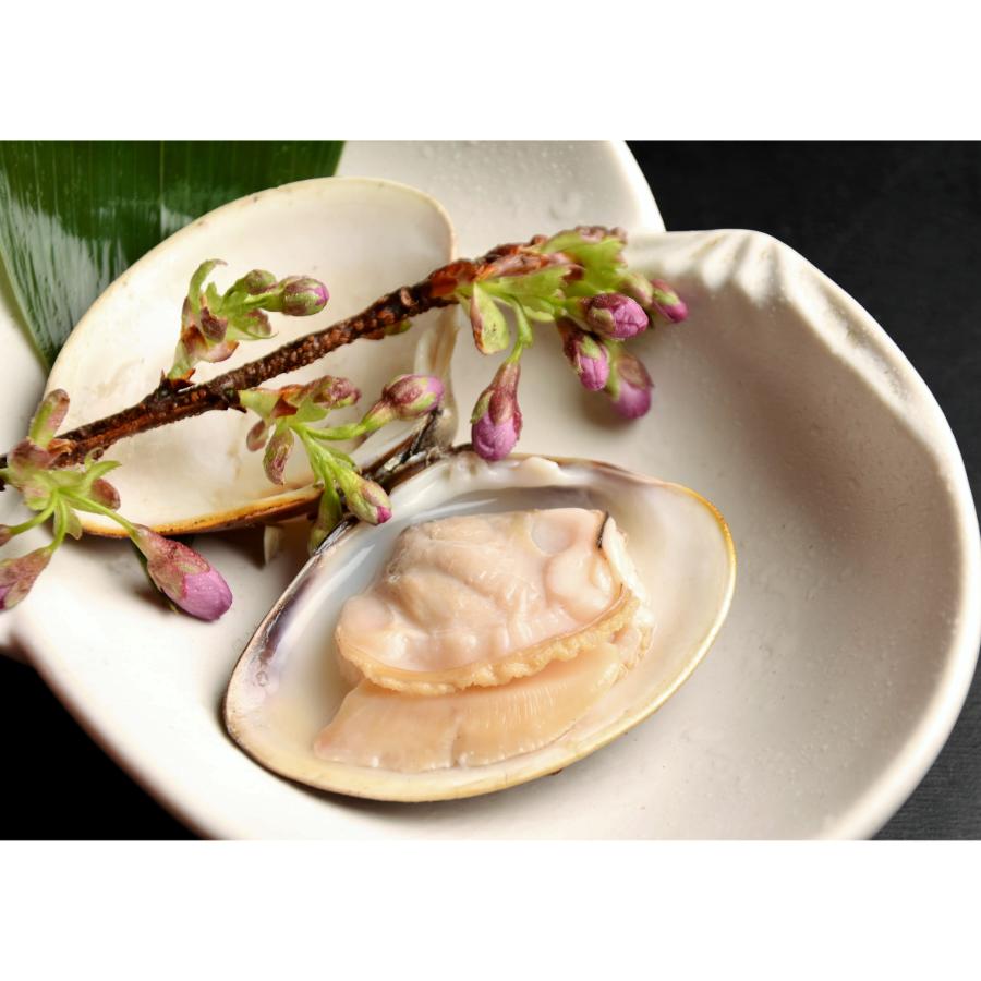 <桑名はまぐり屋>桑名産「はまぐり」10年もの(レトルト)6粒【12ヵ月定期便】