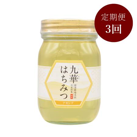 <舘養蜂場本店>「九華はちみつ」(アカシア)500g【3ヵ月定期便】