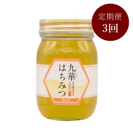 <舘養蜂場本店>「九華はちみつ」(福来花(フクラシハナ))500g【3ヵ月定期便】