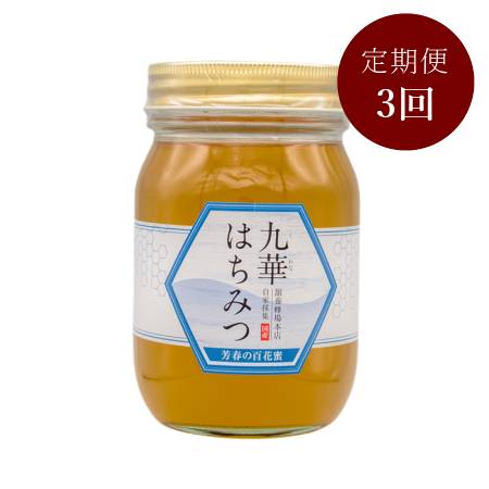 <舘養蜂場本店>「九華はちみつ」(芳春の百花蜜)500g【3ヵ月定期便】