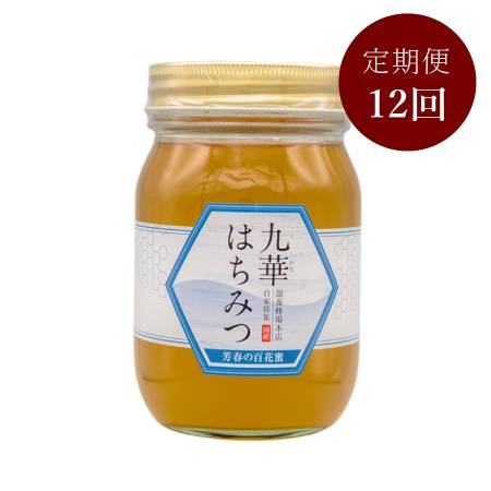 <舘養蜂場本店>「九華はちみつ」(芳春の百花蜜)500g【12ヵ月定期便】