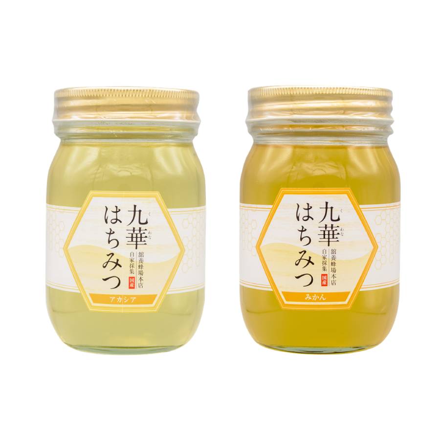 ＜舘養蜂場本店＞「九華はちみつ」【6カ月定期便】