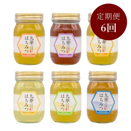 <舘養蜂場本店>「九華はちみつ」【6カ月定期便】