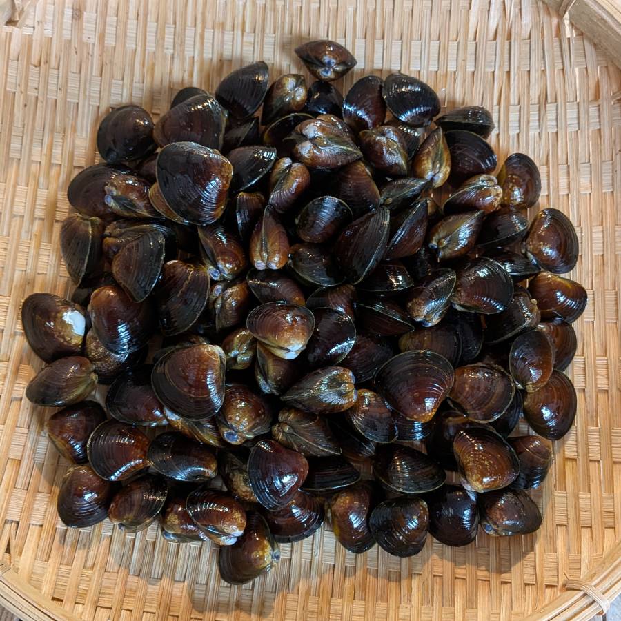 ＜丸元水産＞「蜆」（冷凍）500gx6（計3kg）【12ヵ月定期便】