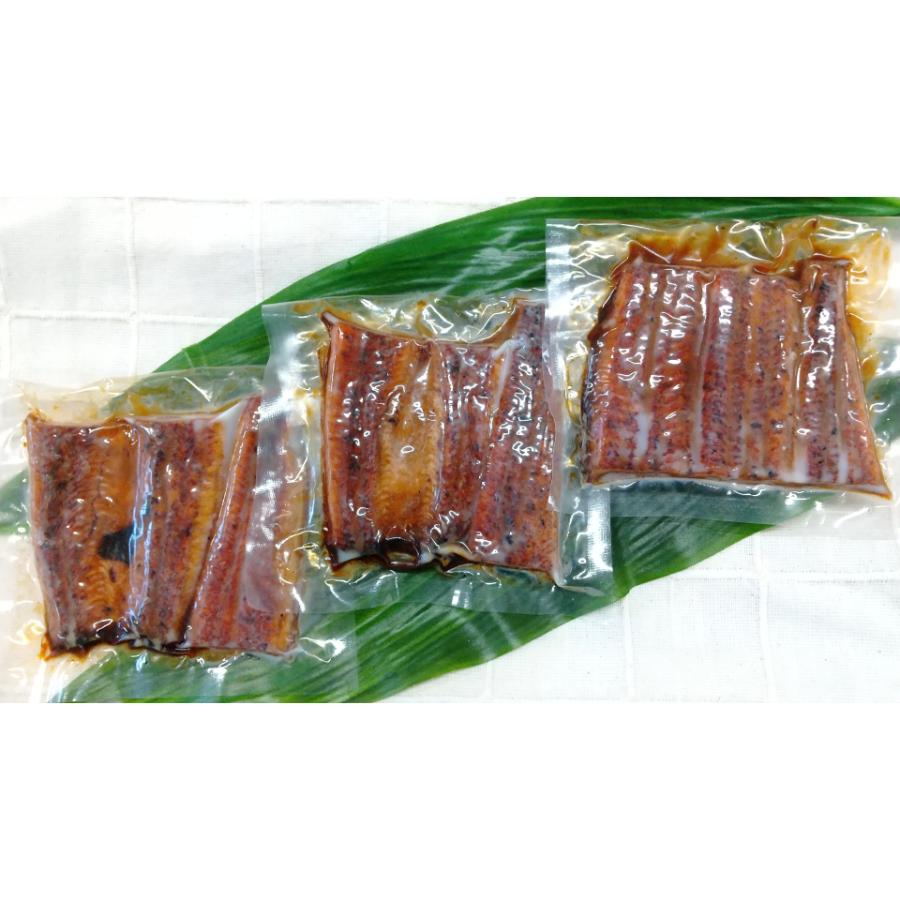 ”木曽三川うなぎ“(特大)100g×3枚【12ヵ月定期便】