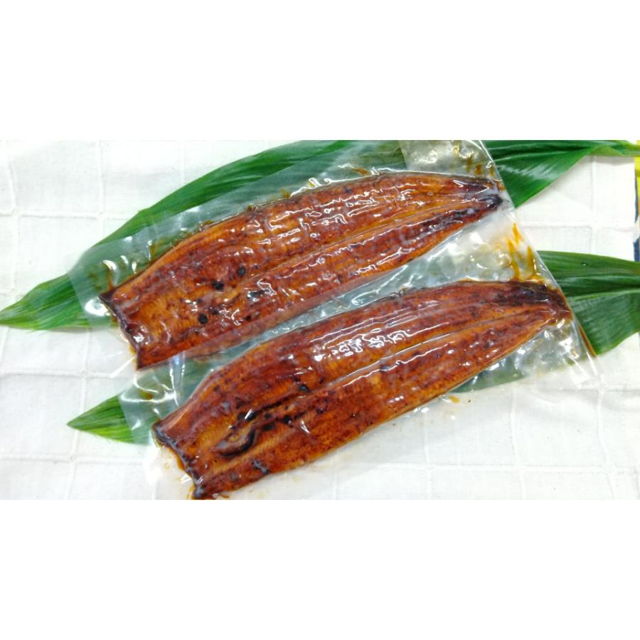 ”木曽三川うなぎ“鰻長蒲焼130g×2枚【6ヵ月定期便】