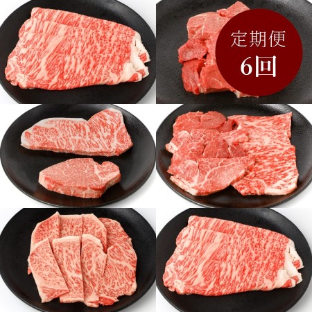 ＜大道精肉店＞A5等級「伊賀牛」ヒレ＆サーロイン【6回定期便】