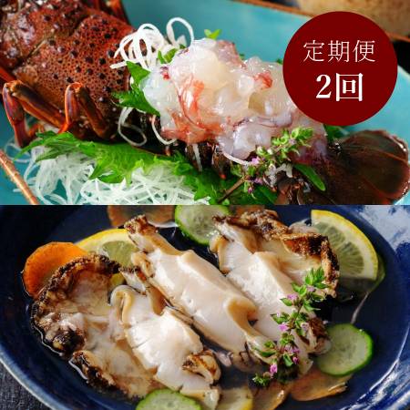 伊勢志摩産　伊勢海老＆鮑「刺身」【2ヶ月定期便】姿造り伊勢えび2尾(500g)、白鮑 2個(合計400g)   (12月開始)