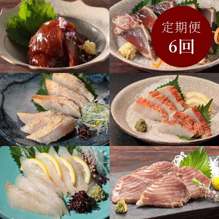 ＜紀伊長島＞「お刺身」（スライス済）【6か月定期便】（三越伊勢丹選定）