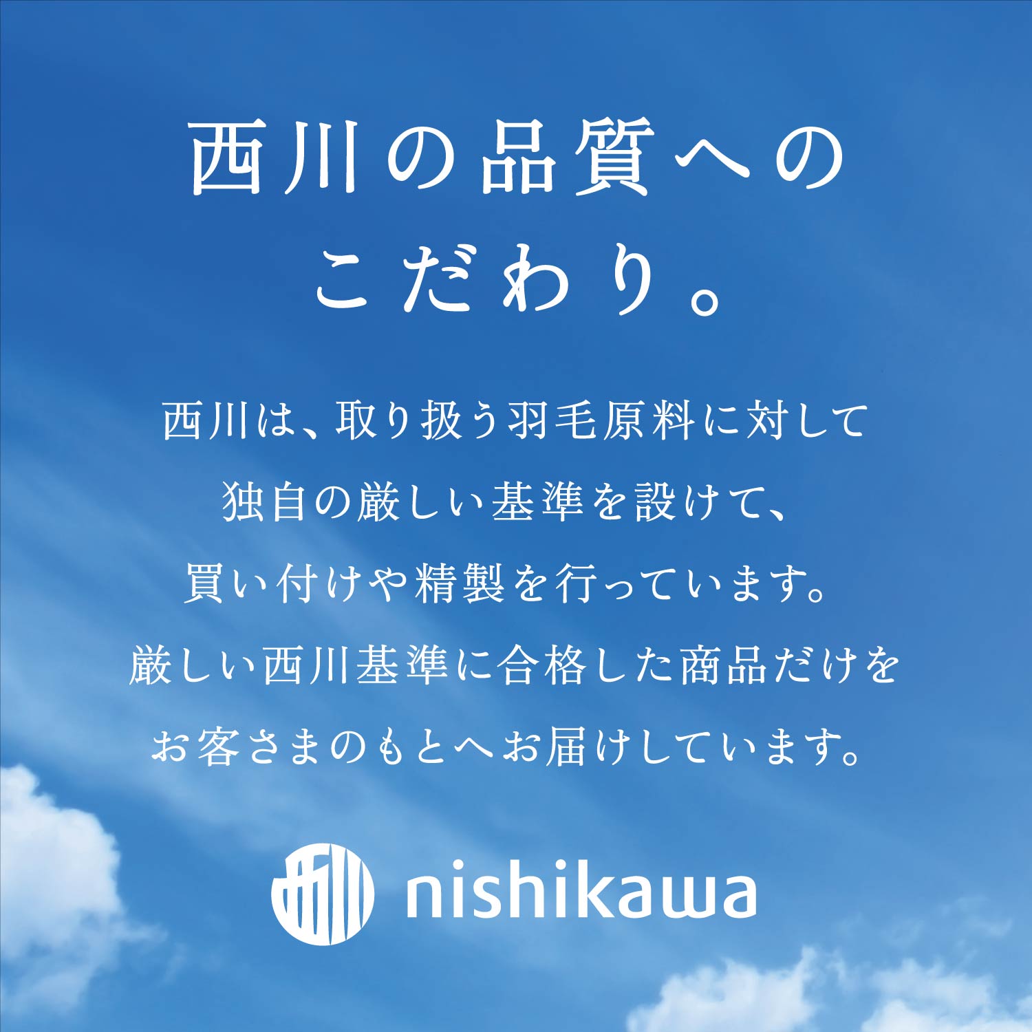 ＜nishikawa/西川＞羽毛掛けふとん/ポーリッシュホワイトマザーグース手選別ダウン95％/シングルロング/配色ホワイト