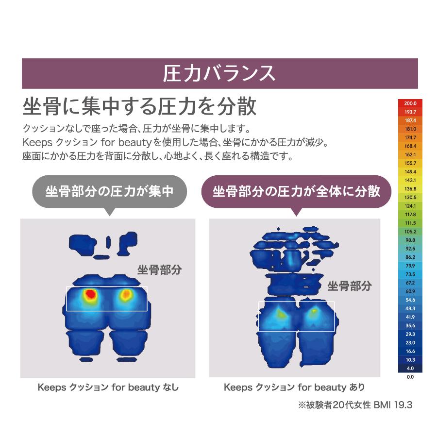 <nishikawa/西川>Keeps クッション for beauty グレー