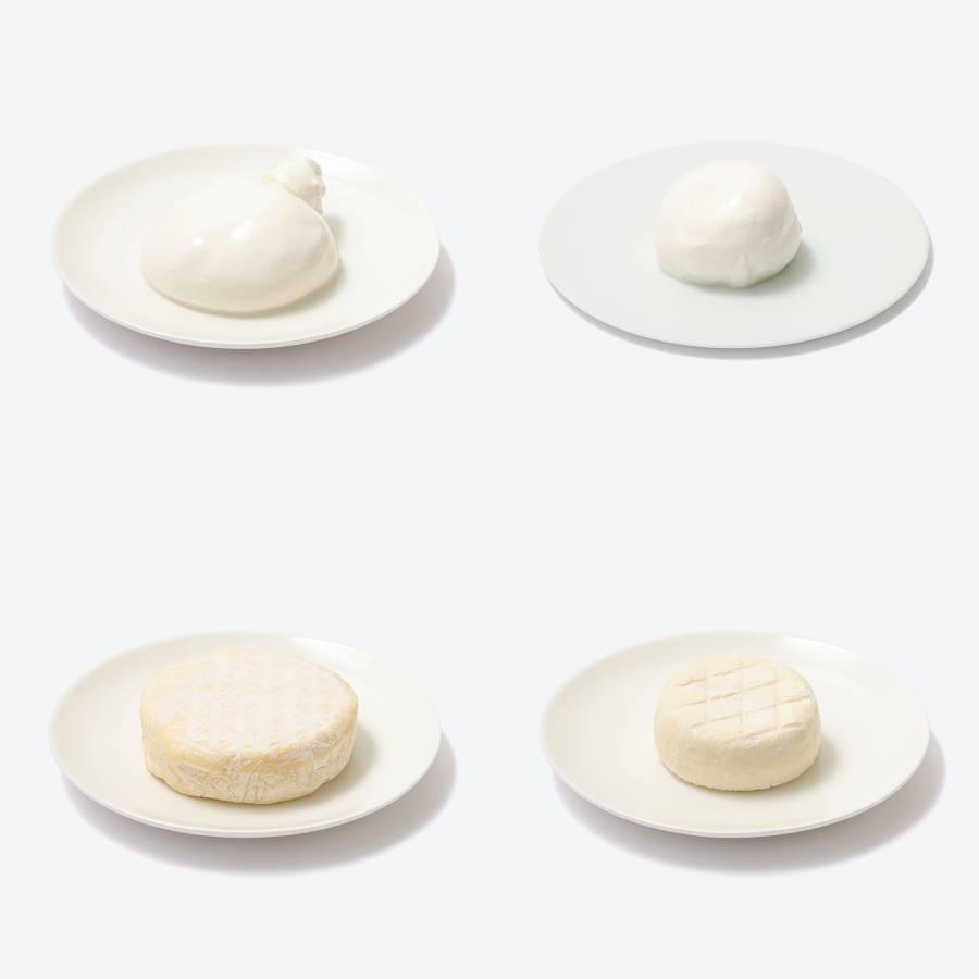 <Lactoserum>「フレッシュ&熟成チーズ」4種(モッツアレラ・ブッラータ・つやこフロマージュ・ツツー)計480g【6ヵ月定期便】