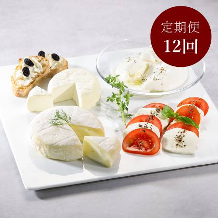 ＜Lactoserum＞「フレッシュ＆熟成チーズ」4種（モッツアレラ・ブッラータ・つやこフロマージュ・ツツー）計480g【12ヵ月定期便】