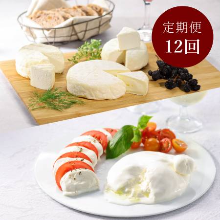＜Lactoserum＞「フレッシュ＆熟成チーズ」5種（モッツアレラ・ブッラータ・つやこフロマージュ・ツツー他）計580g【6ヵ月定期便】
