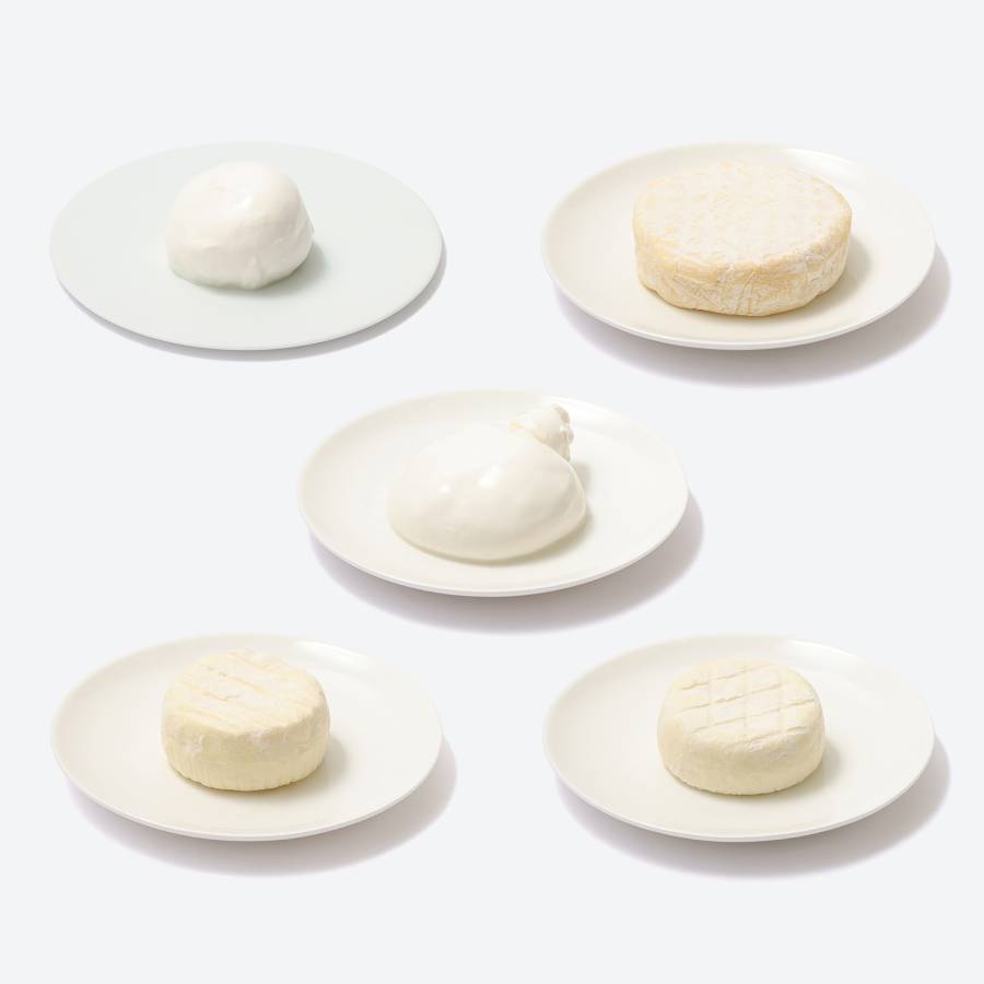 ＜Lactoserum＞「フレッシュ＆熟成チーズ」5種（モッツアレラ・ブッラータ・つやこフロマージュ・ツツー他）計580g【6ヵ月定期便】