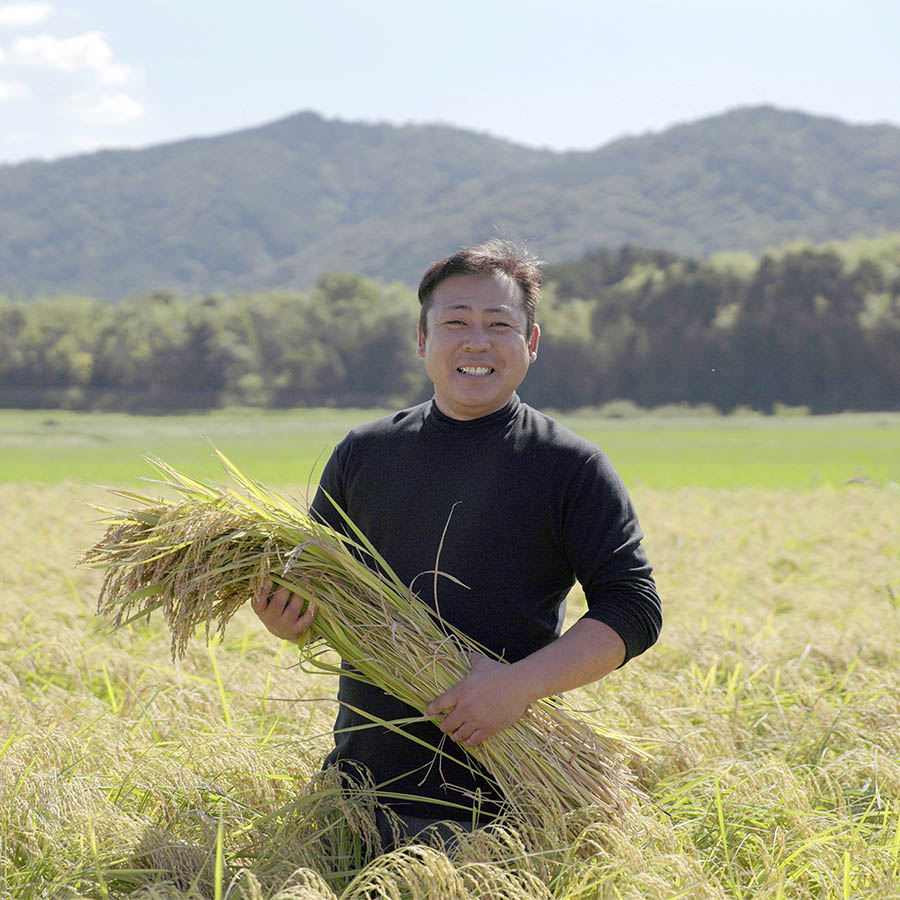 <十六代目米師又八のお米>濃厚な旨味「にこまる」5kg