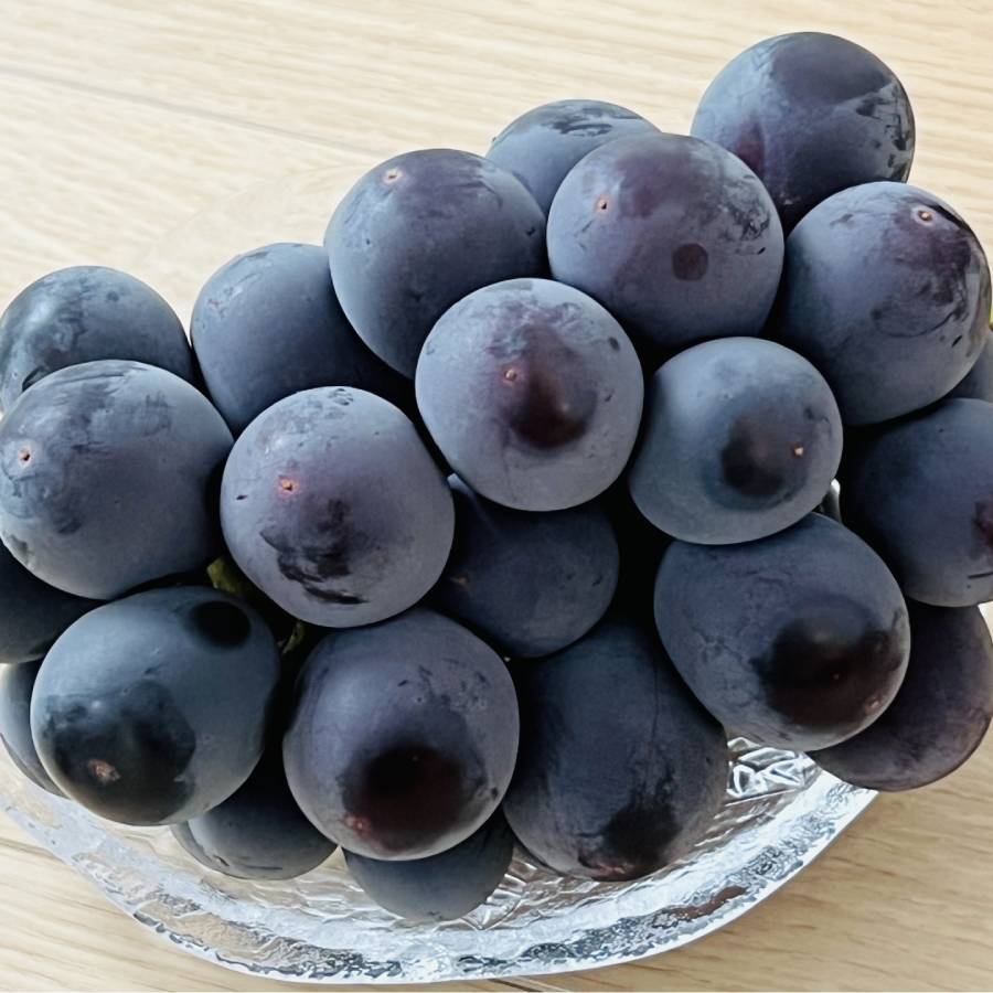 ＜みらいパーク竜王＞「巨峰」Mサイズ２房