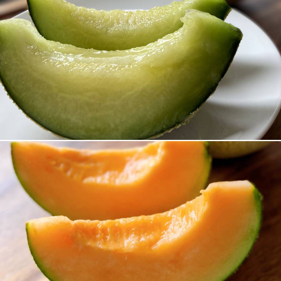 ＜みらいパーク竜王＞メロン（青肉・赤肉）各1玉（計2玉）