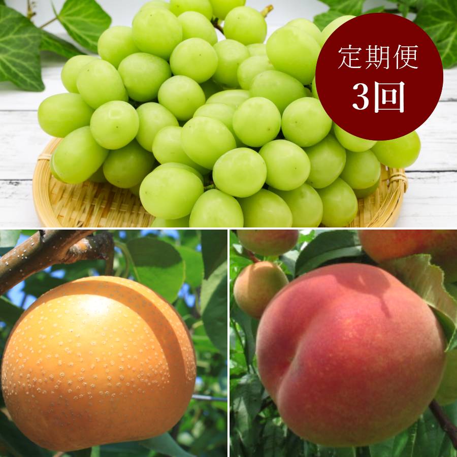 ＜みらいパーク竜王＞「旬の果物」【定期便3回】