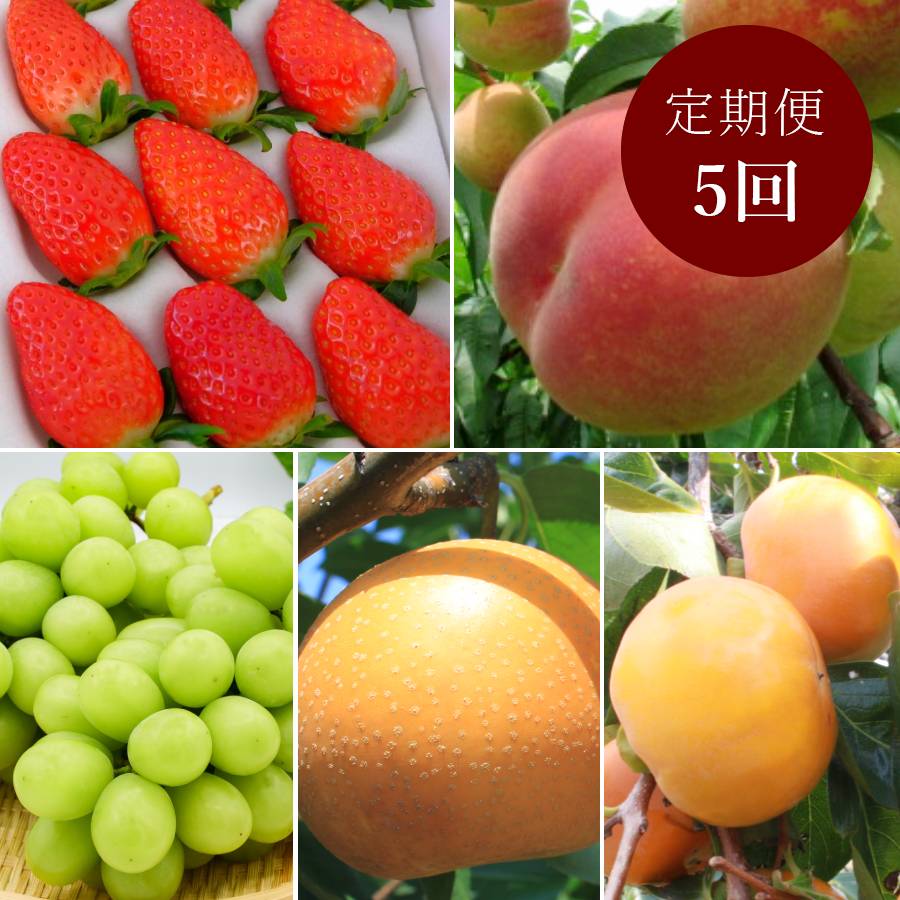 ＜みらいパーク竜王＞「旬の果物」【定期便5回】