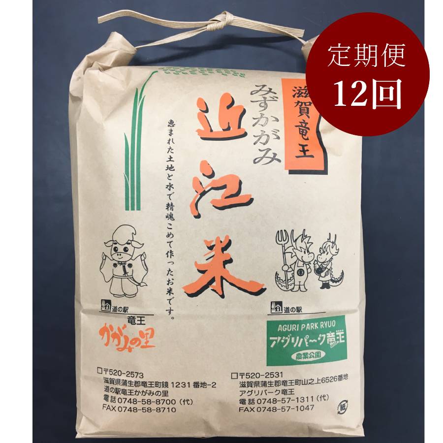 ＜みらいパーク竜王＞「みずかがみ」4.5kg【12ヵ月定期便】