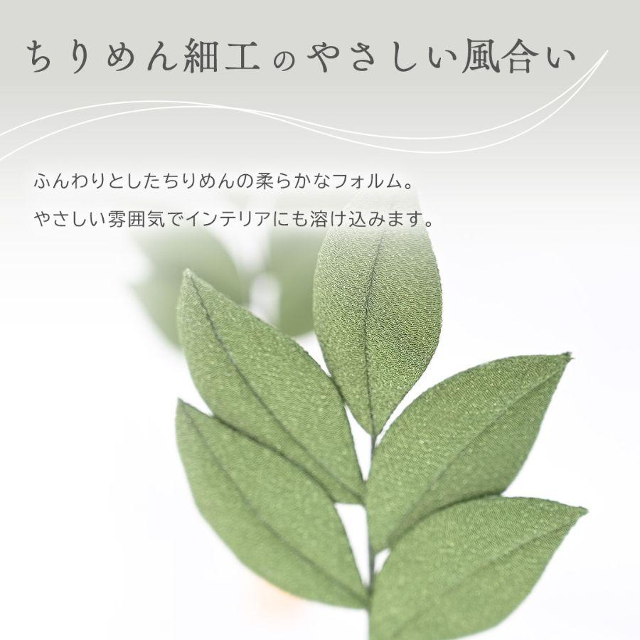 ＜京都　夢み屋＞杜天　とあ　置き型/カラーセット